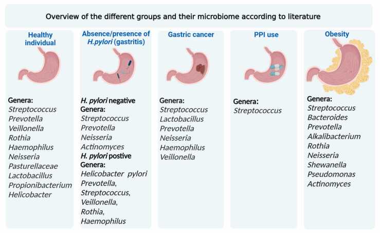 Microbioma gástrico y relación con cáncer gástrico